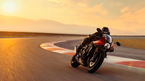 Triumph pcp deals new arrivals